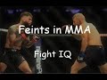 MMAでフェイントを使用する方法|対戦相手を反応させましょう！