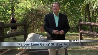 'Felony Lane Gang' Strikes Again