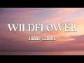 Billie Eilish WILDFLOWER Lyrics Loop Video 