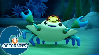 Octonauts - 🦀 Le crabe et l'oursin 🪸 | Dessins animés pour enfants