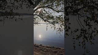 Saadjärv,Tartumaa,Eesti.#estonia #saadjärv озеро Саадярв,Эстония. #nature