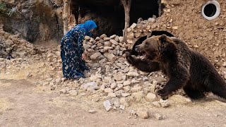 😱 Deadly bear attack on Venus!