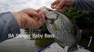 New BA Stinger Baby Bass Color