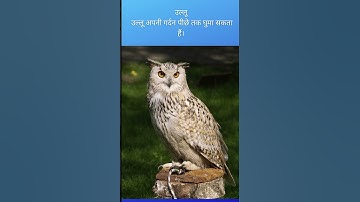 #ctet #evs #shorts #shortsviralshorts #ctet2022