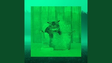 Stellar Lazy Cat Days