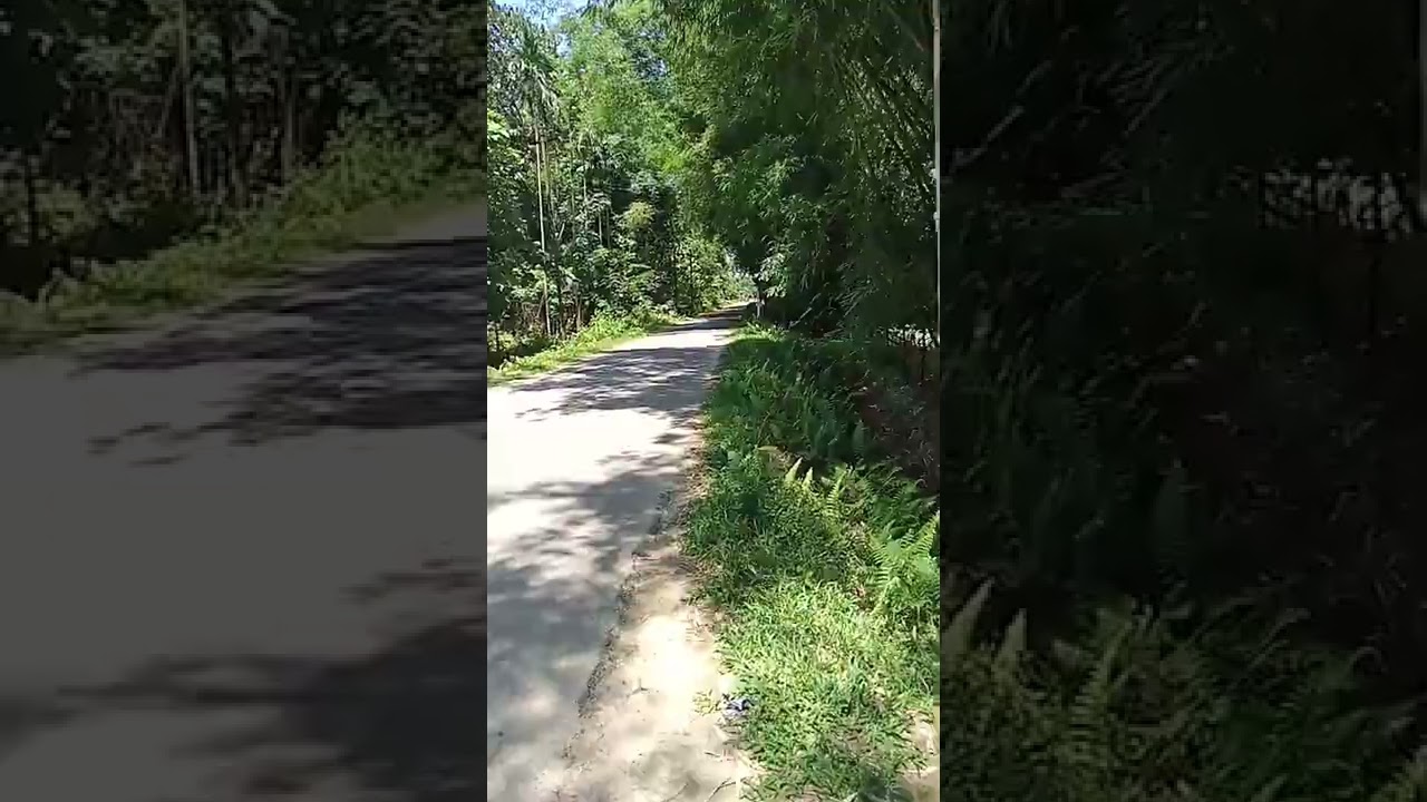 GOLAGHAT merapani road by BTN the VLOGER