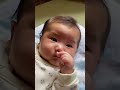 秋田イッヌ「赤ちゃんの近くで寝るの気持ちよすぎやろがい…ﾌﾞﾎﾞｯ…」ネッコ「こいつはまじで…」　#shorts