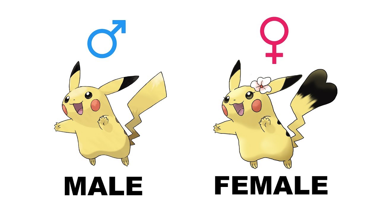 Pichu Pikachu Raichu Gender Difference Fanart