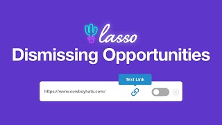 Dismissing Opportunities In Lasso | Lasso WordPress Plugin