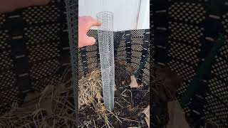 How to aerate your geobin compost pile #shorts