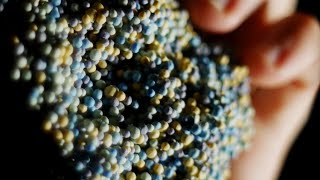 Uncategorized ASMR Uncategorized ASMR