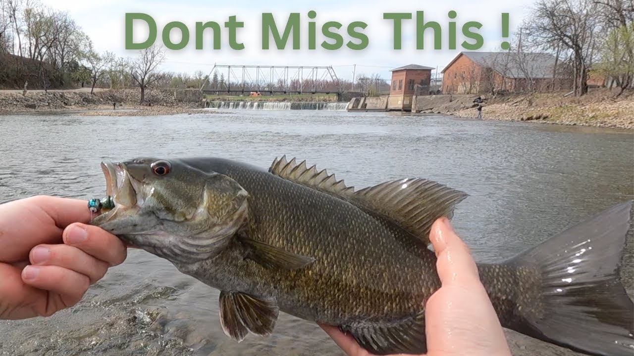 It's Big Spring Smallmouth Bass Time! (Iowa River Fishing)