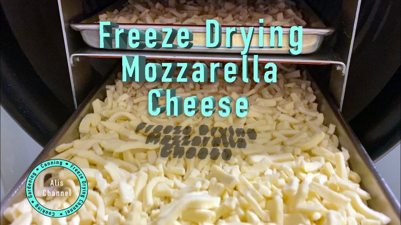 Freeze Drying Mozzarella Cheese and rehydration - YouTube