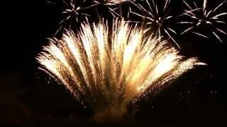 Fuochi artificiali a Priaruggia - Europe - The final countdown