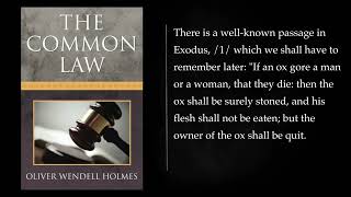 (1/2) THE COMMON LAW By Oliver Wendell Holmes, Jr.. Audiobook, full length