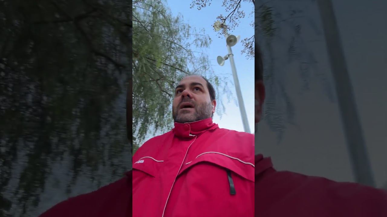 Ir paso a paso 🙅🏻‍♂️￼