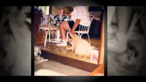 Barbara Bonin's Video Tribute