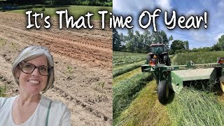 It's Hay & Garden Time!