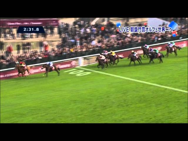 ステイゴールドの系譜 オルフェーヴル 競馬ブログをはじめよう ステイゴールドの系譜 オルフェーヴル 競馬ブログをはじめよう