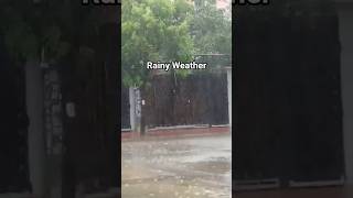 "A Cool Rainy Day with Wind and Thunder 🌧️⚡"🏞️🥰#RainyDay #Thunder #Relaxing #Shorts #YouTubeShorts