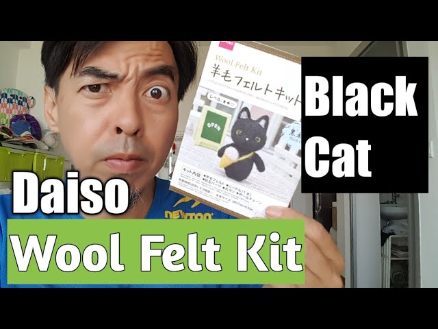 Daiso Wool Needle Felting Kit /needle Wool Felt Kit cat Fish/animal Kit/  With English Instructions 