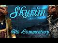 Skyrim (Part 584)