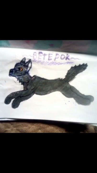 Нарисовала Ветерка из Котов Воителей #коты #subscribe #котывоители # ...