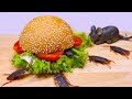 ASMR Stop Motion Cooking Burger INSECT 음식을 만드는 방법 MUKBANG / 스톱모션 요리 Funny videos