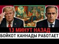 Главный советник Трампа признался: скрытые действия Канады принесли плоды, провал США!