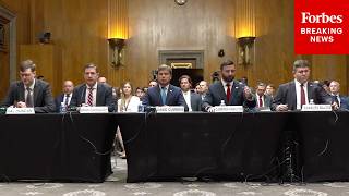 Celebrity Senate Homeland Security Committee Holds Confirmation Hearing For Trump Administration Nominees Wealth