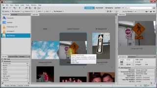 Import images into Bridge CS5 using a camera