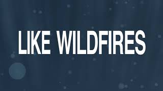 Vídeo de Wildfires