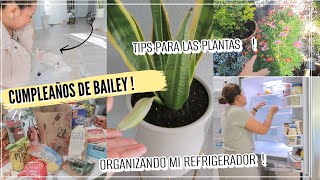 CUMPLEAÑOS DE BAILEY 😍 ORGANIZANDO MI REFRIGERADOR