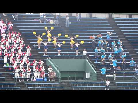 文星芸術大附属のアフリカシンフォニー