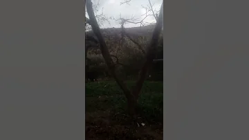 لغز وحل يطلق علية اللاعب رقم ١٦ من هو 