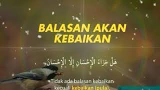 STORY Wa Muslim _ sholawat Kullul Qulub