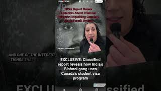 CBSA Report Raises Concerns About Criminal Networks Exploiting Canada's Study Permit System