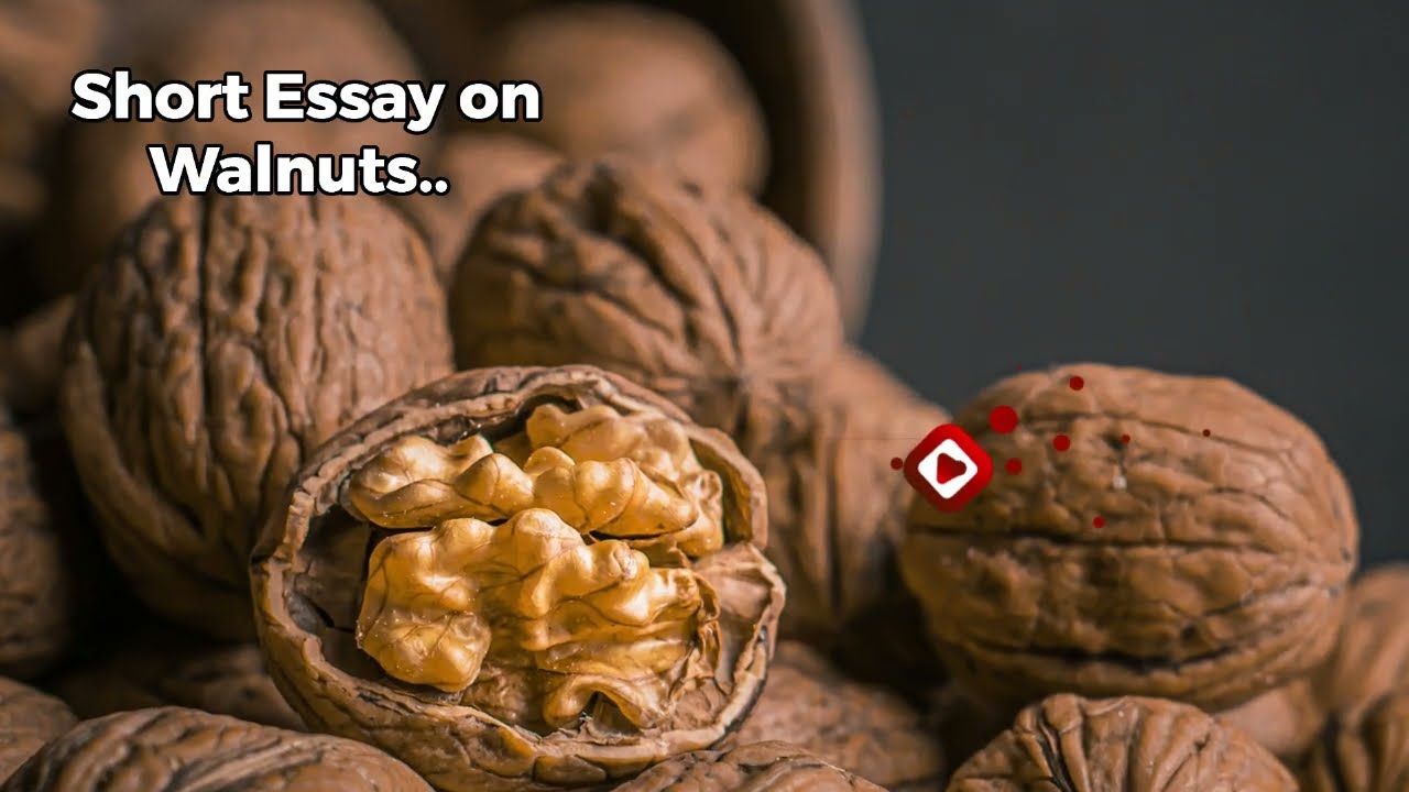 Walnuts A Smart Way of Healthy Diet | Few Lines Short Essay on Walnuts | Walnut | Cursive Writing