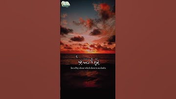 سورة آل عمران عبد الرحمن مسعد تلاوة تشعرك بالسكينة
