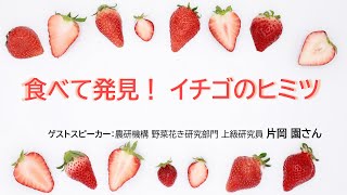 食べて発見! イチゴのヒミツ　研究者トーク（ゲスト：片岡園氏）