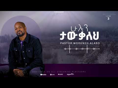 1Hr Instrumental Workneh Alaro Vol 3 Hulun Tawkaleh ሁሉን ታውቃለህ Full Album Instrumental