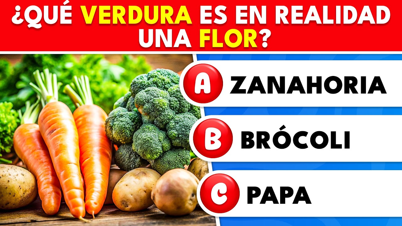 Historia que aprendiste en la ESCUELA 📚 ¡50 preguntas! ¿Lo recuerdas? | Knowlio - ES