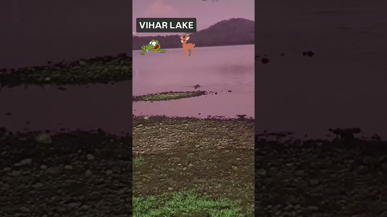 Vihar lake🐊🐊🦌