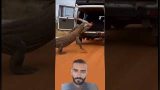 عند عتبة السيارة اشتعل الهواء تهديدا لكن بابا واحداكان كافياليؤجل الهجوم