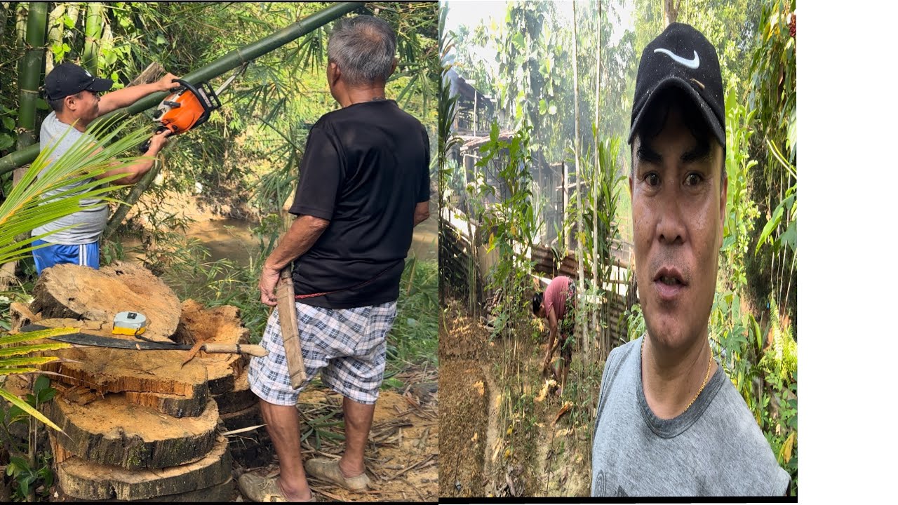 Menebang Pokok Buluh Bersama BS // Ada Artis Menghiburkan Di Kebun KJ😂