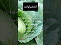 فوائد الملفوف فوائد الملفوف