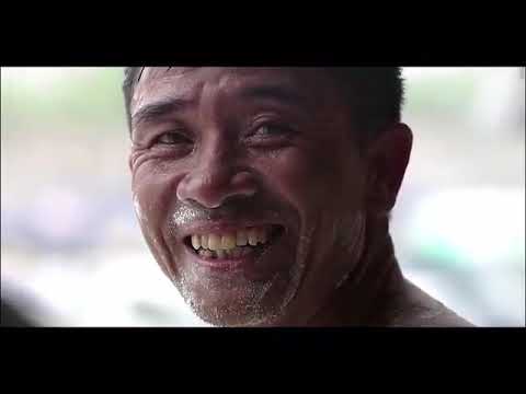 愿你被这个世界温柔对待