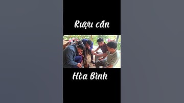 Rượu cần bản sắc văn hóa người mường Hòa Bình