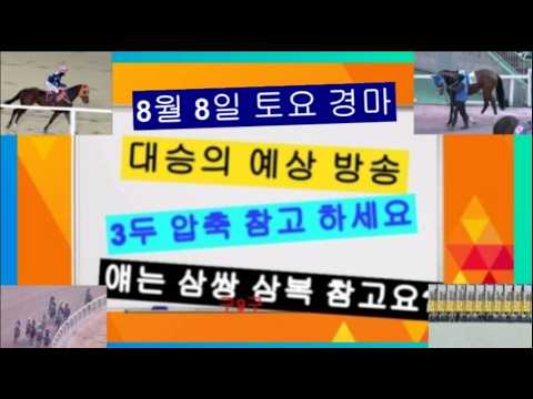 토요 얘가 오면 큼지막 하겠죠 삼복 과 삼쌍 참고 바랍니다?