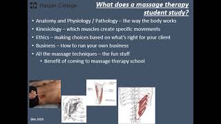 Harper Massage Therapy Program Intro Video